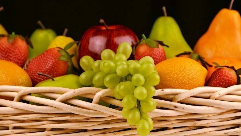 Conservation et logistique Quels impacts sur les fruits?