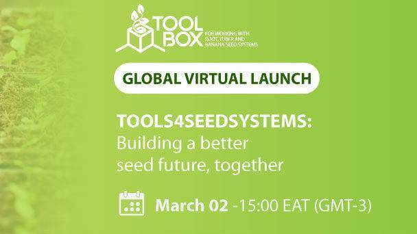 Toolbox for Working with Root, Tuber and Banana Seed Systems: Building a Better Seed Future, Together