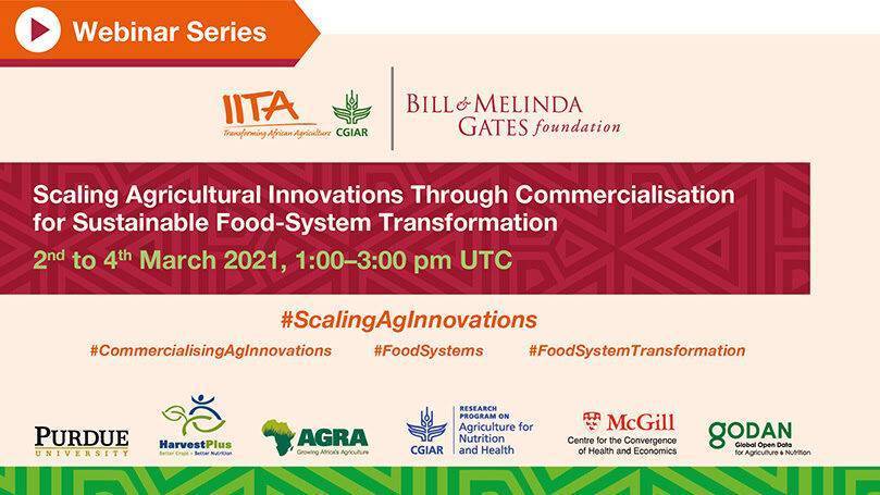 Scaling Agricultural Innovations Through Commercialisation for Sustainable Food-System Transformation
