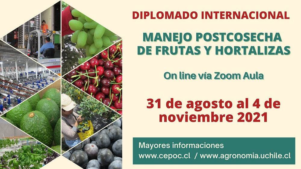 Diplomado Internacional Manejo Postcosecha de Frutas y Hortalizas
