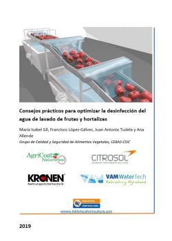 Consejos prácticos para optimizar la desinfección del agua de lavado de frutas y hortalizas