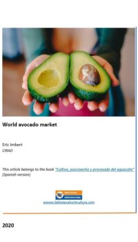 World avocado market