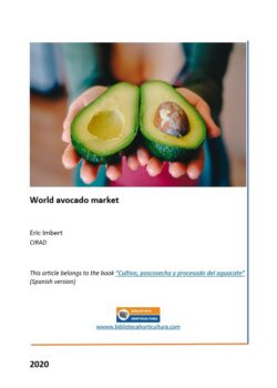 World avocado market
