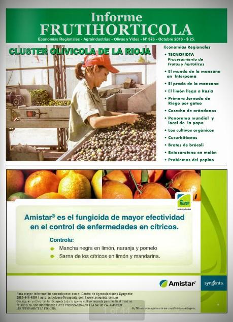 Informe FrutiHortícola Octubre 2016