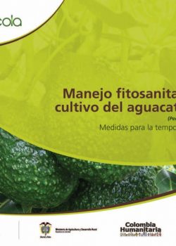 Manejo fitosanitario del cultivo del aguacate Hass. Medidas para la temporada invernal