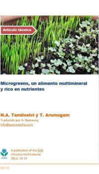 Microgreens, un alimento multimineral y rico en nutrientes