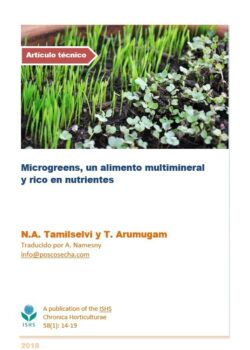 Microgreens, un alimento multimineral y rico en nutrientes