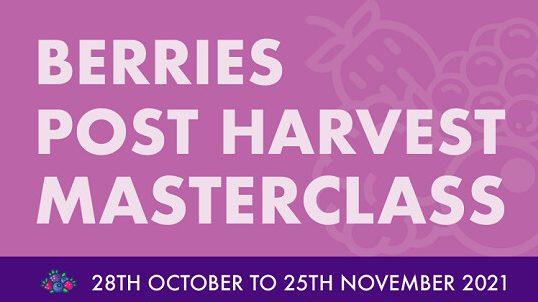International Berries Post-Harvest Masterclass