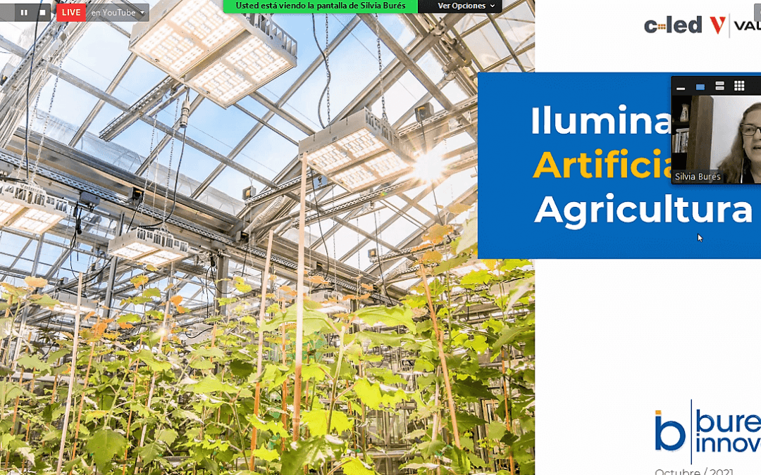 Iluminación artificial en agricultura e Investigación poscosecha en la UGR