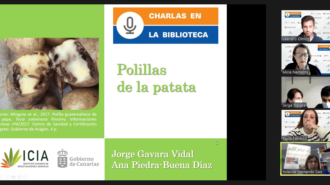 La polilla guatemalteca en patata y vacunas vegetales