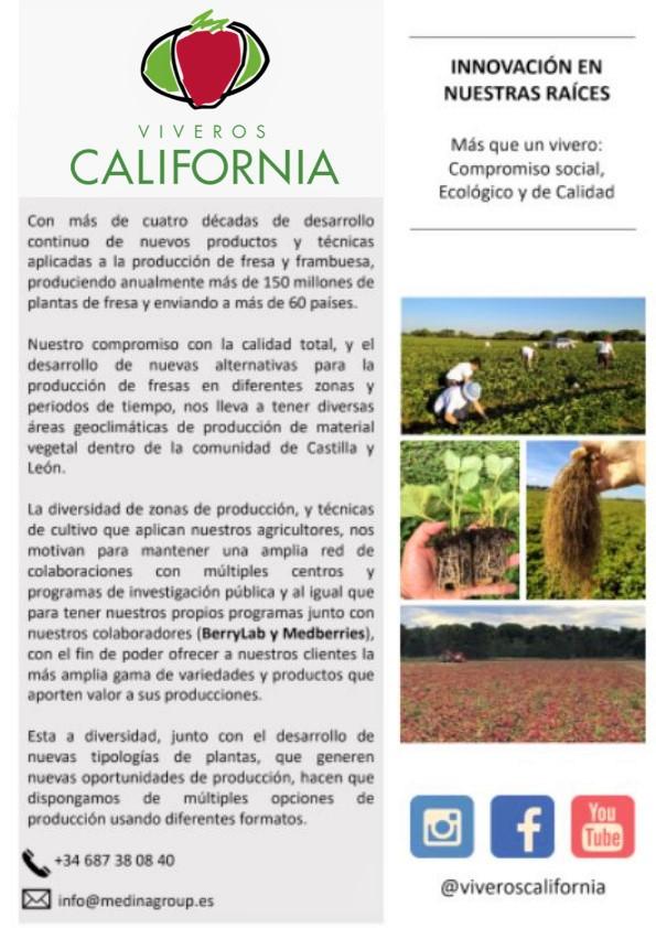 Berries-Viveros California 2